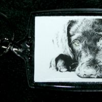 Puppy Love Keychain